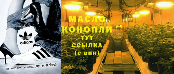 винт Пересвет