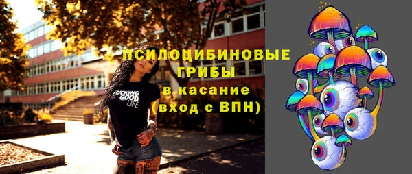 а пвп мука Пестово
