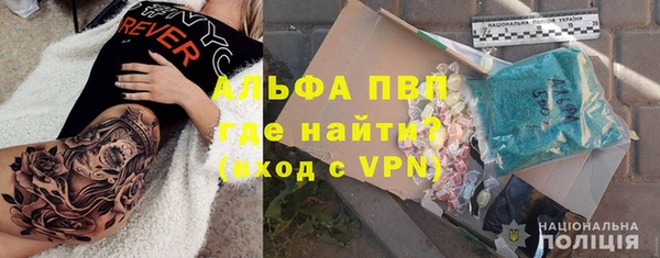 винт Пересвет
