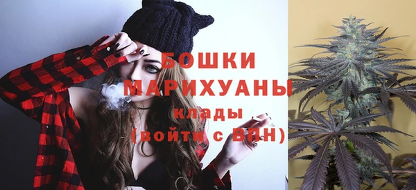 винт Пересвет