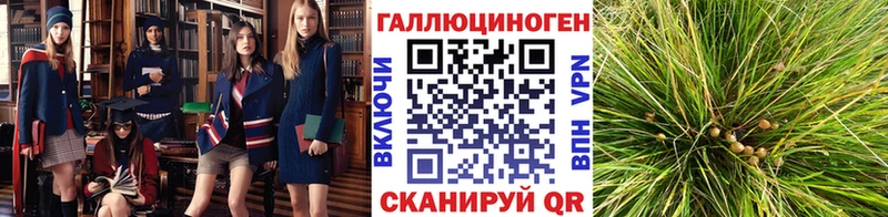 Псилоцибиновые грибы Cubensis  Купить закладки  Усинск 